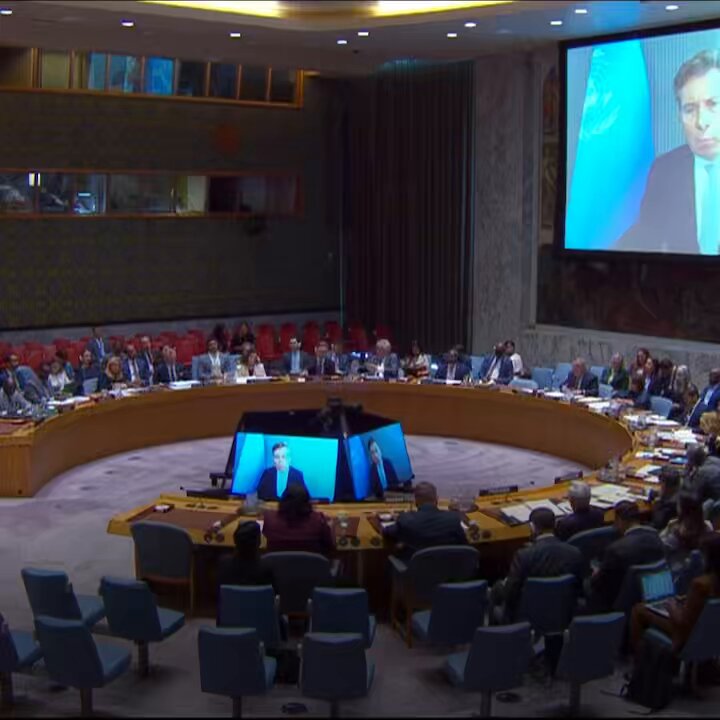 U.S. Asks the Security Council to Make Sudan’s Arms Embargo Nationwide