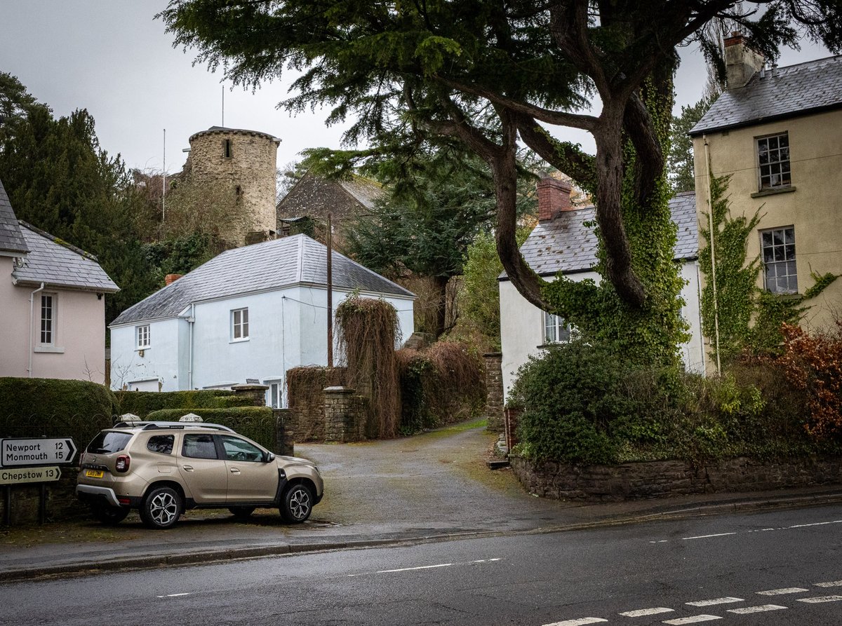 Right now, the hashtag #ThickTrunkTuesday is trending across social media platforms, particularly on X, where users are sharing stunning photos and heartfelt messages about trees with thick trunks. Th...