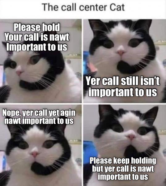 #ImJustHereToTellYou Takes X by Storm: The Viral Hashtag Flooding Feeds with Sass, Pets, and Everyday Truths