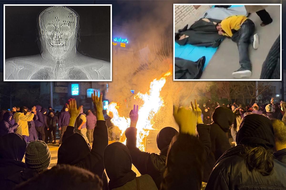 Full Extent of Horror Within Iranian Hospitals Revealed After Regime's Brutal Crackdown on Protesters