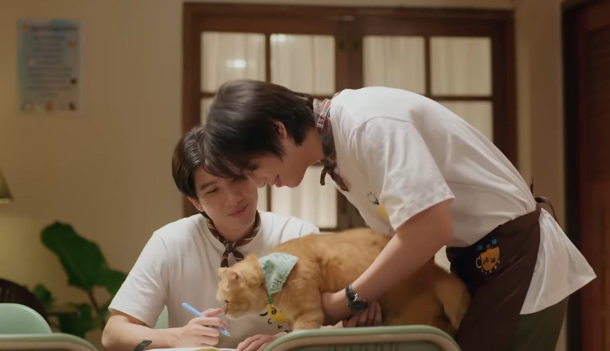 Cat For Cash Final Episode Airs: FirstKhaotung's Emotional Farewell Sparks Massive #CatForCashFinalEP Trend on X