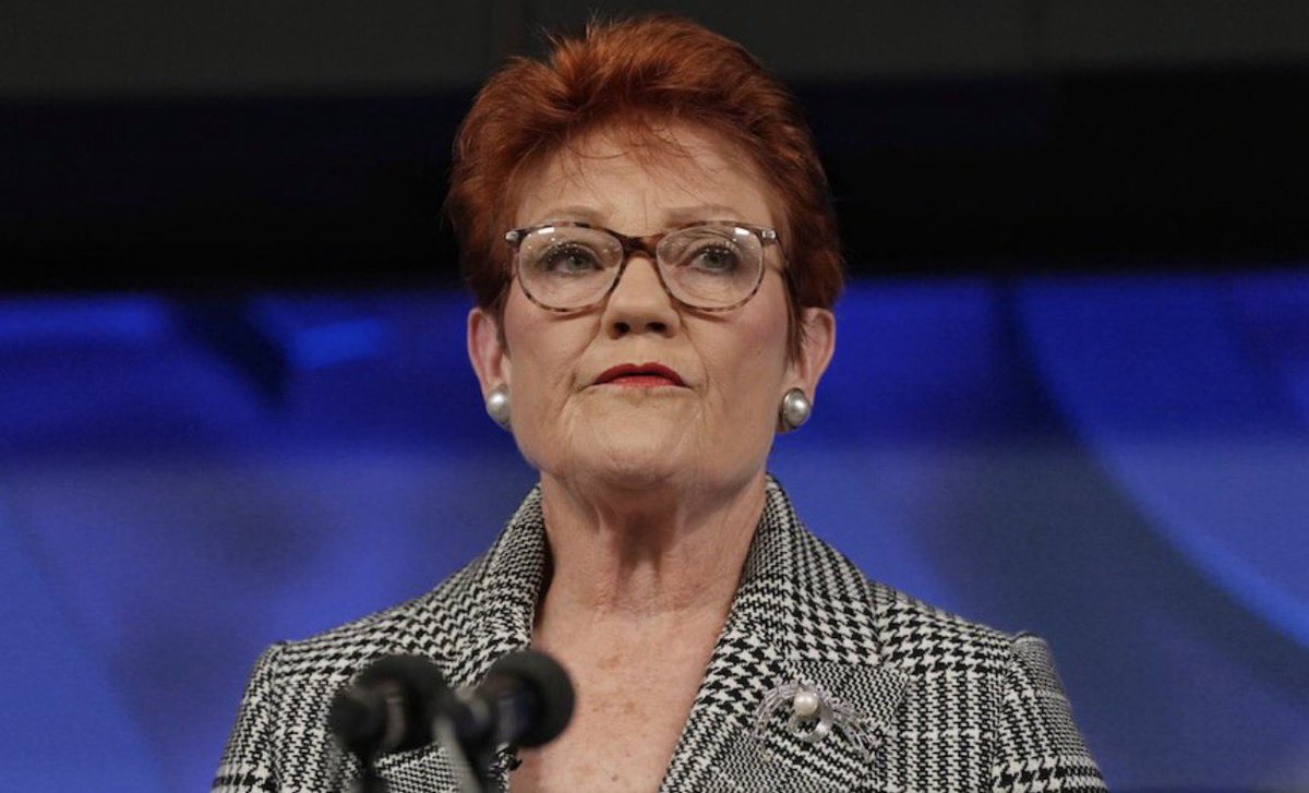 Pauline Hanson National Press Club Speech Sparks GetUp Banner Protest and Security Investigation