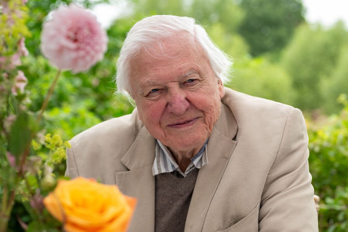 At 100, David Attenborough Is Named TV Presenter of the Year